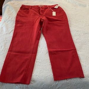 Warp + Weft  Sz 18 Paris High Rise Straight